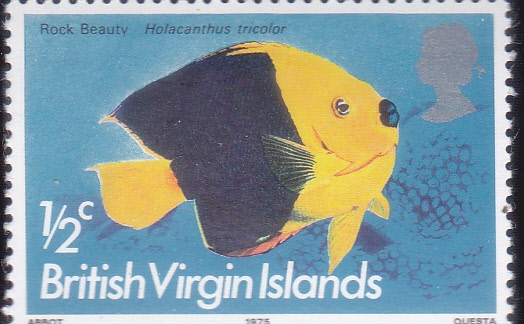 PEZ TROPICAL