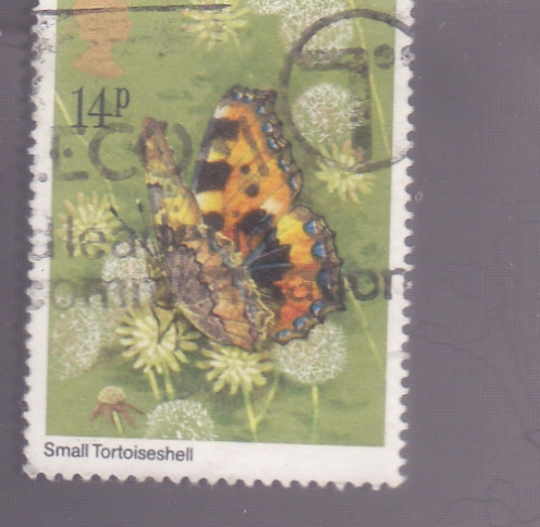 MARIPOSA