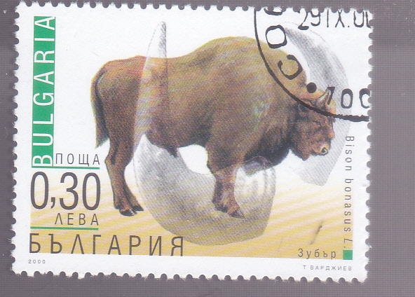 BISONTE