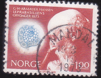 Armauer Hansen (1841-1912) Médico