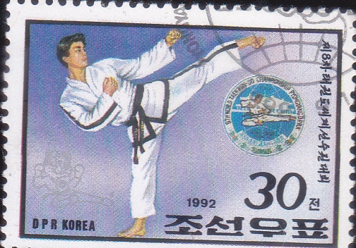 ARTES MARCIALES