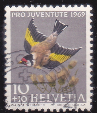 PRO-JUVENTUD 1969