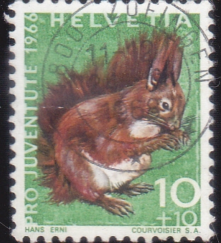 PRO-JUVENTUD 1966