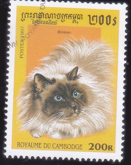 GATO