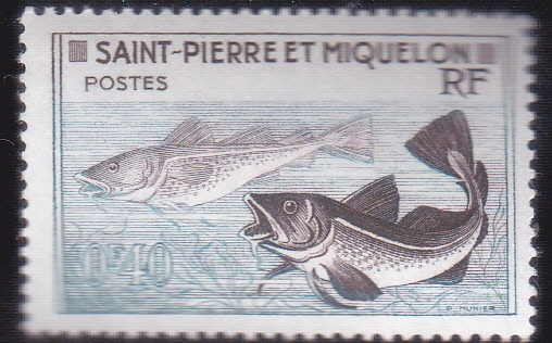 pesca