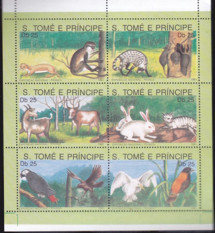 FAUNA