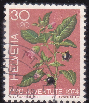 pro juventudes 1974