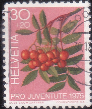 pro juventudes 1975