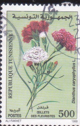 FLORES
