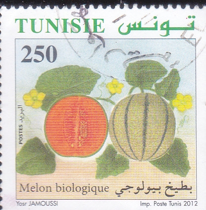MELON BIOLOGICO