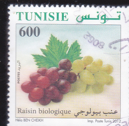 UVA BIOLOGICA