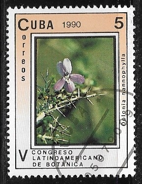 Congreso  Latinoamericano de Botanica