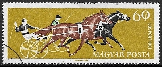 Deportes equestres