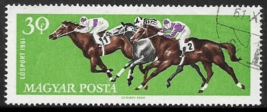 Deportes equestres