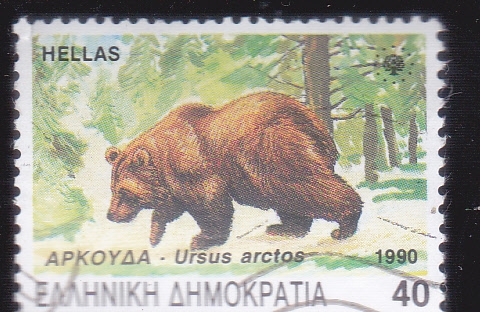 oso pardo