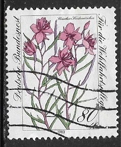 flores