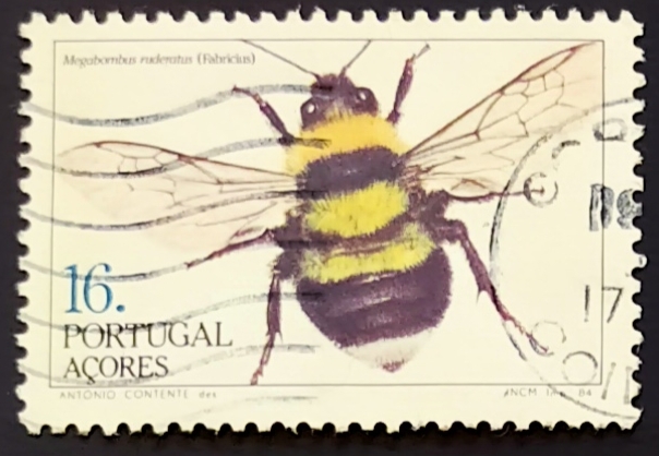 Abejorro