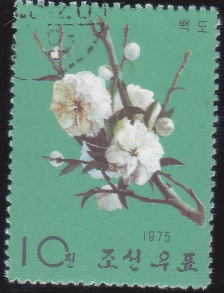 flor