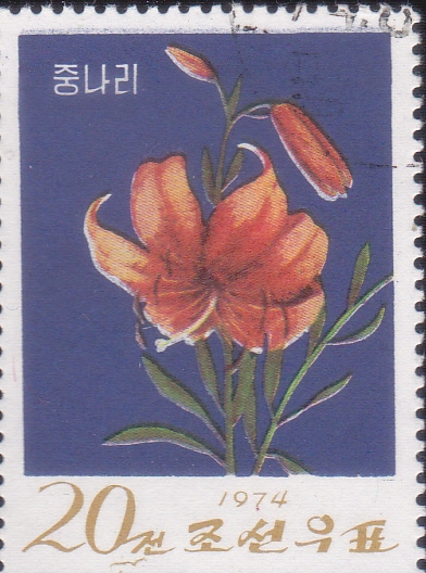 flor