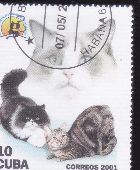 GATOS