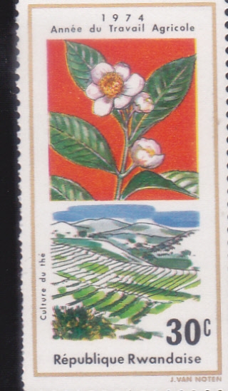 AÑO DEL TRABAJO AGRICOLA
