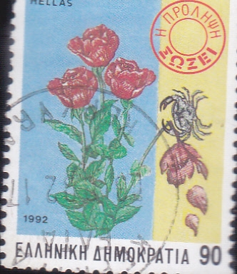 Salud - Prevención del cáncer