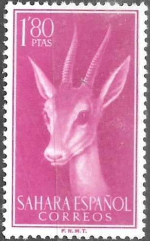 SAHARA ESPAÑOL