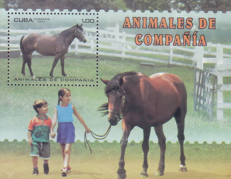 ANIMALES DE COMPAÑIA