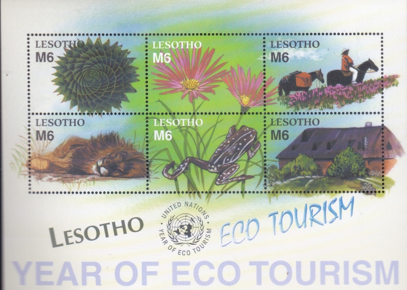 AÑO DEL ECO TURISMO