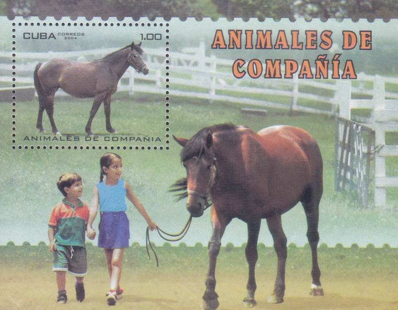 ANIMALES DE COMPAÑIA