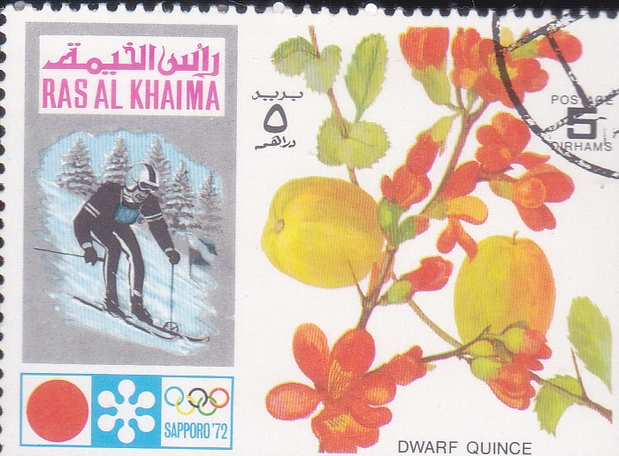 OLIMPIADA SAPPORO'72