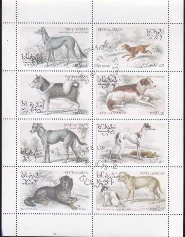 PERROS DE RAZA
