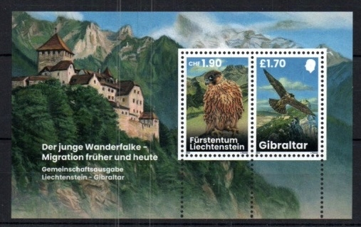 Halc�n peregrino- Edici�n conjunta con Gibraltar