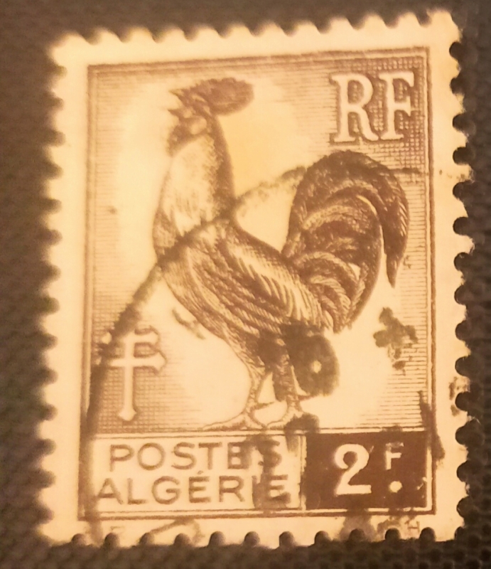 Gallic Cock