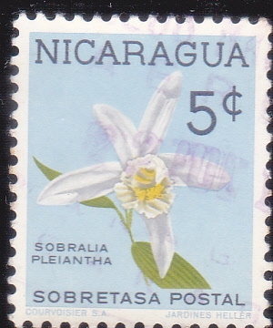 FLOR-