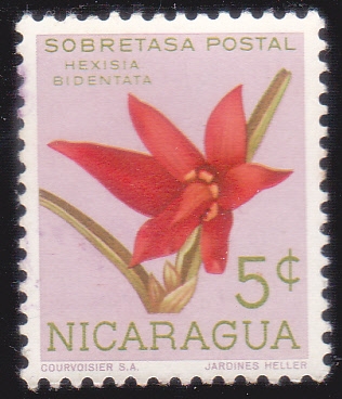 FLOR