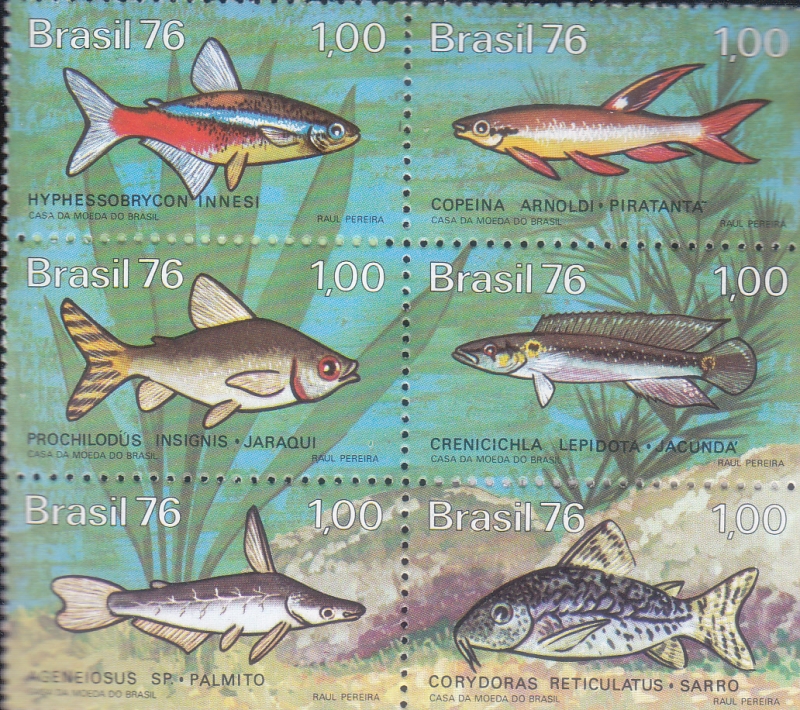 PECES