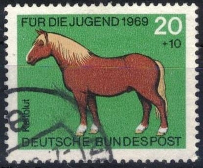 Pro Juventud - Caballos (Sangre fria).