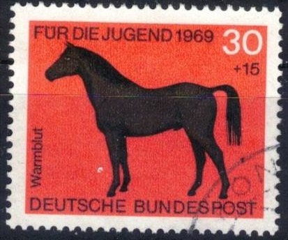 Pro Juventud - Caballos (Sangre caliente).