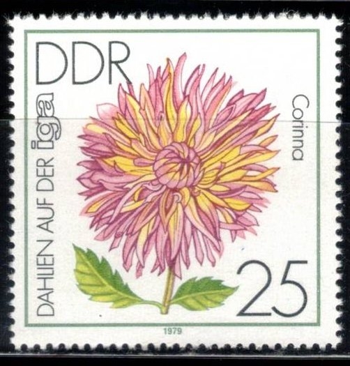 Exposici�n de Dalias en la iga ( Corinna).