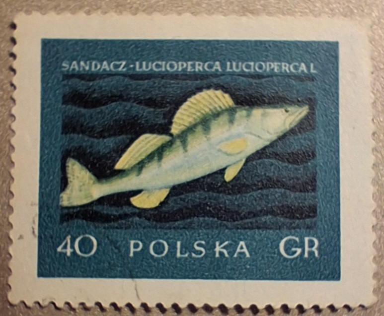 Polonia-cambio