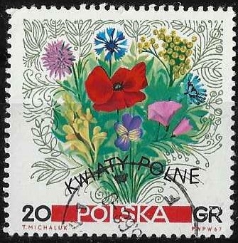 Polonia-cambio