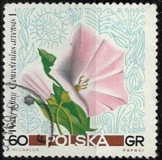 Polonia-cambio
