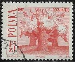 Polonia-cambio