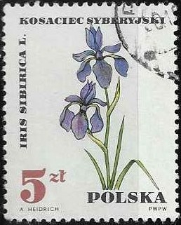 Polonia-cambio