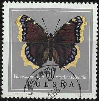 Polonia-cambio