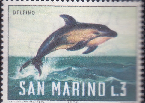 FAUNA MARINA-delf�n