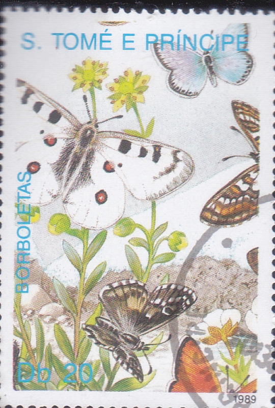 MARIPOSAS