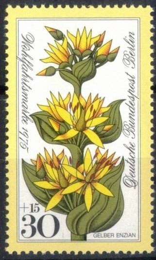 Beneficiencia: Flores alpinas - Genciana amarilla. 