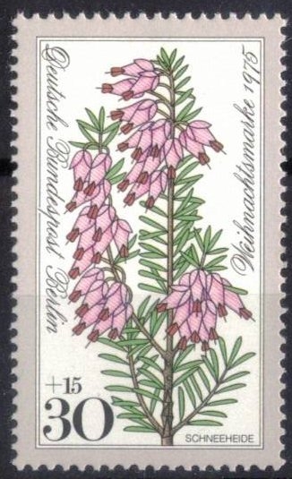 Beneficiencia: Flores alpinas - Brezo vizca�no.